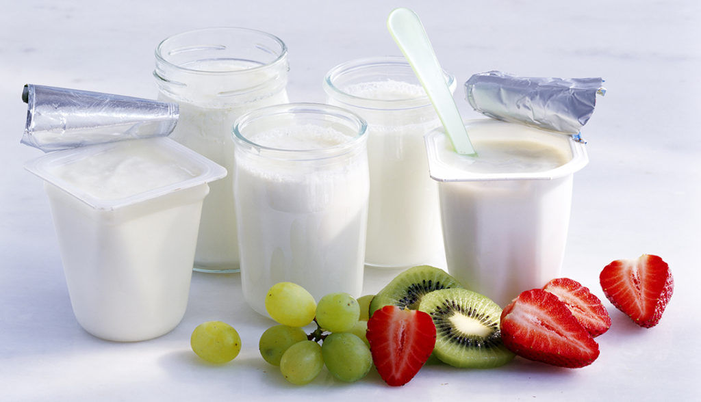 Low-Fat Yogurt | Tapasya Mundhra Blog
