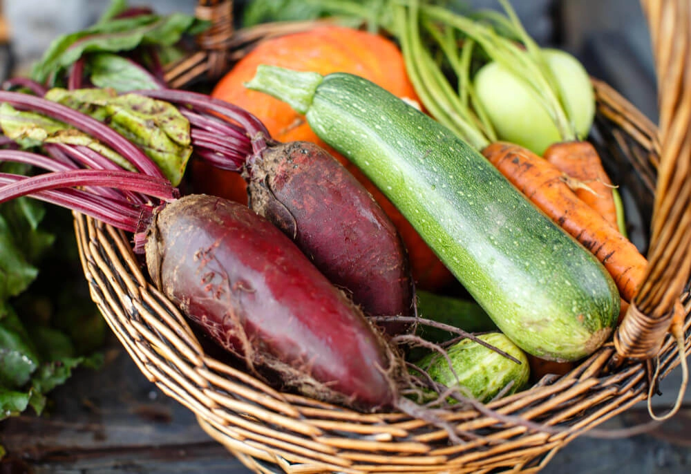 Eating for your dosha